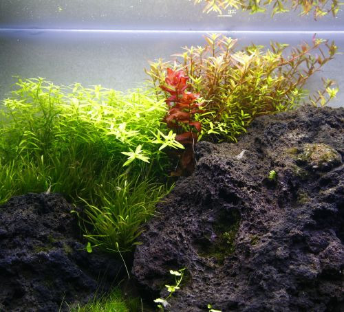 gallery/2_2