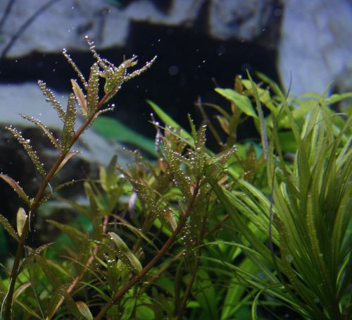 gallery/1_3